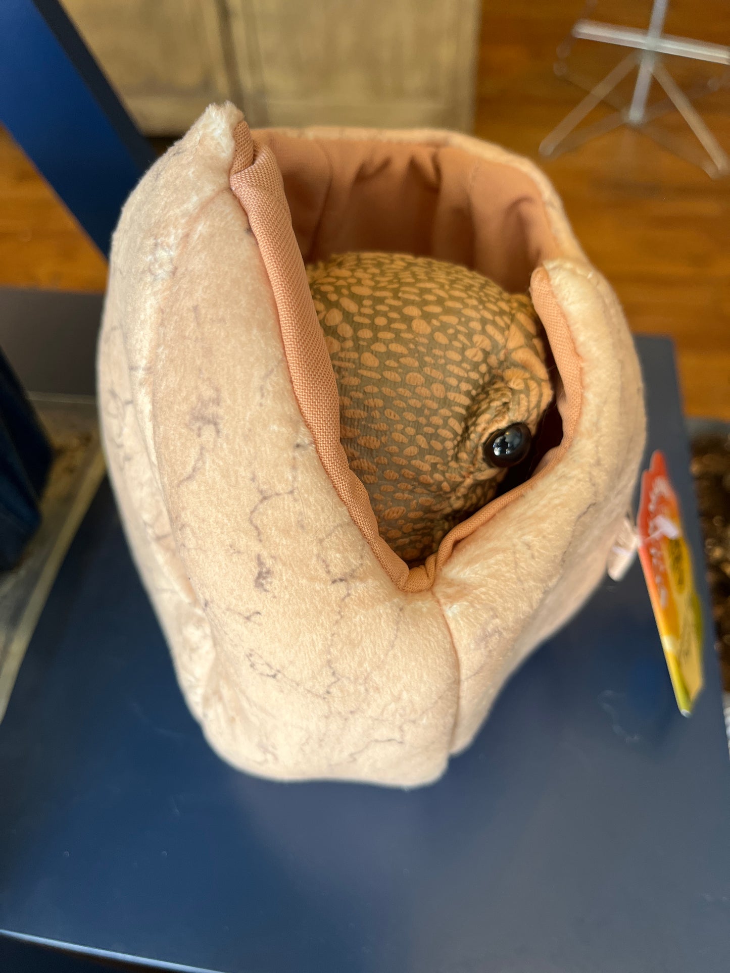 Dinosaur Egg