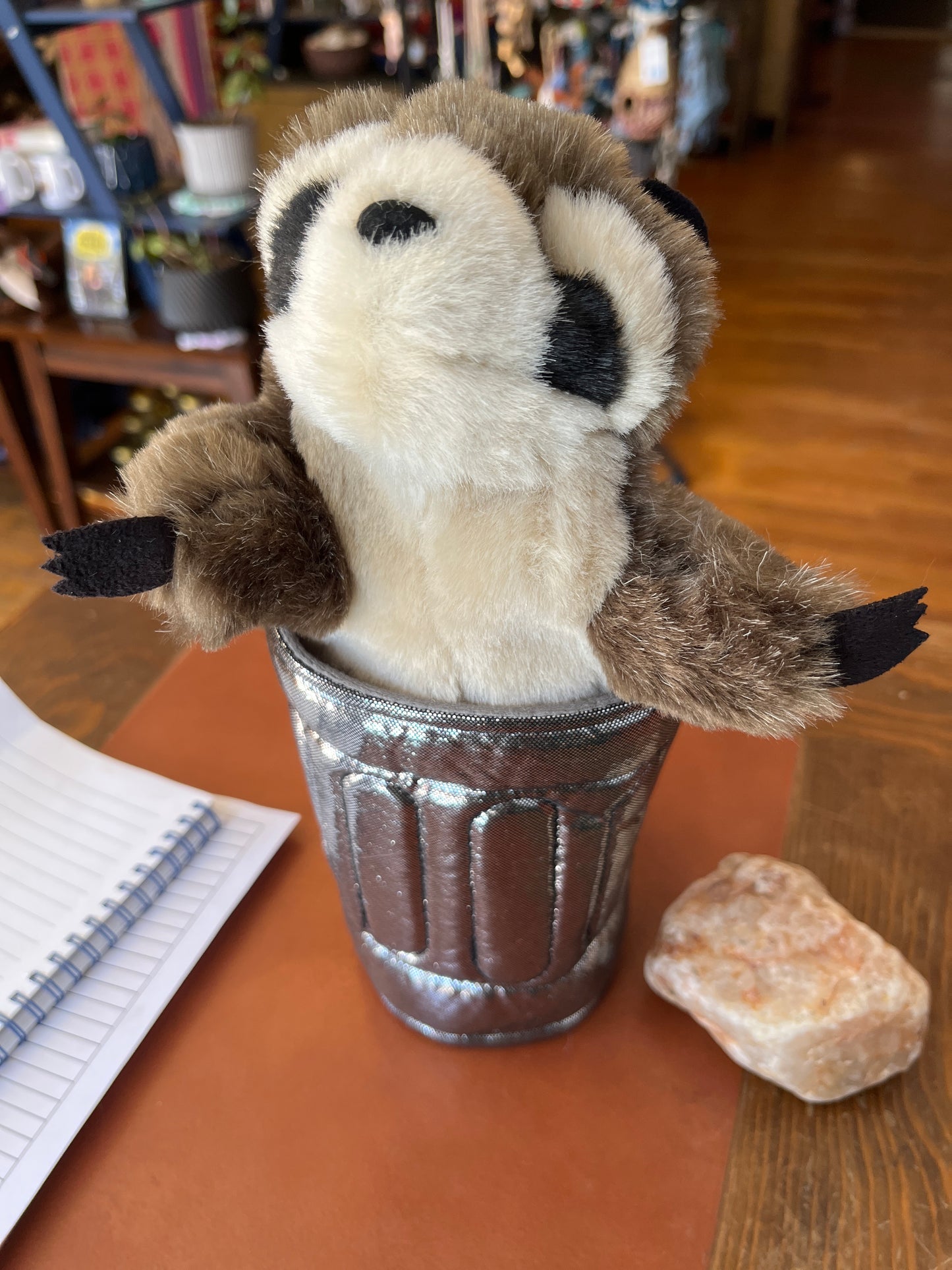 Raccoon in Garbage Can