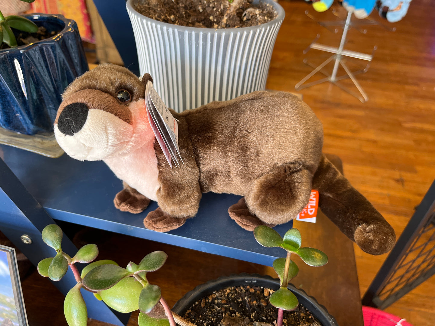 CK Mini River Otter