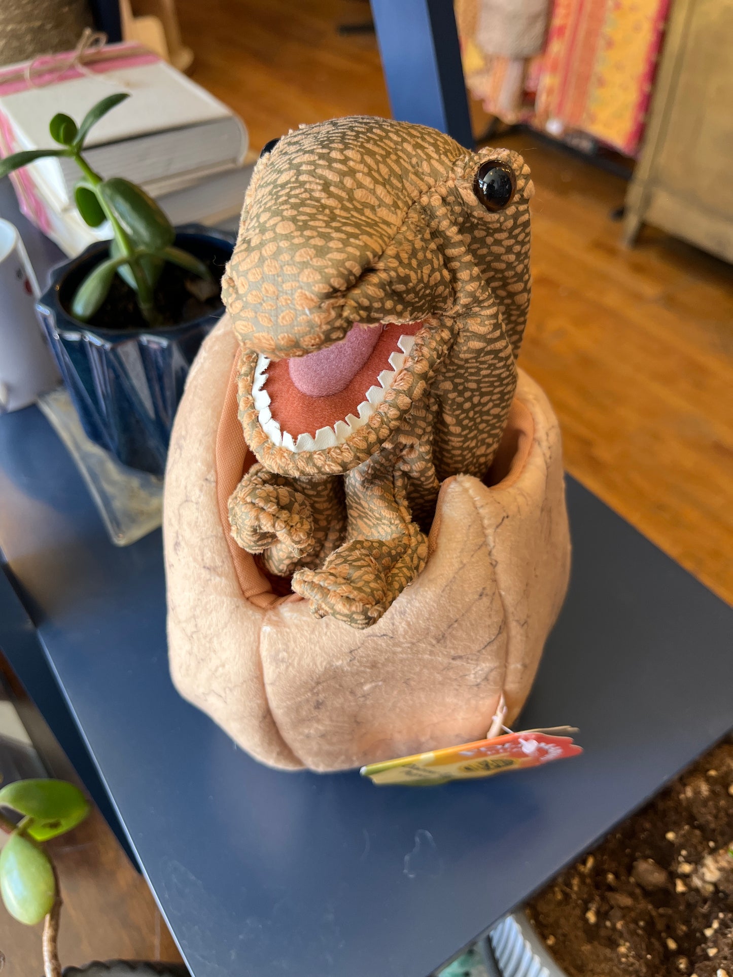 Dinosaur Egg