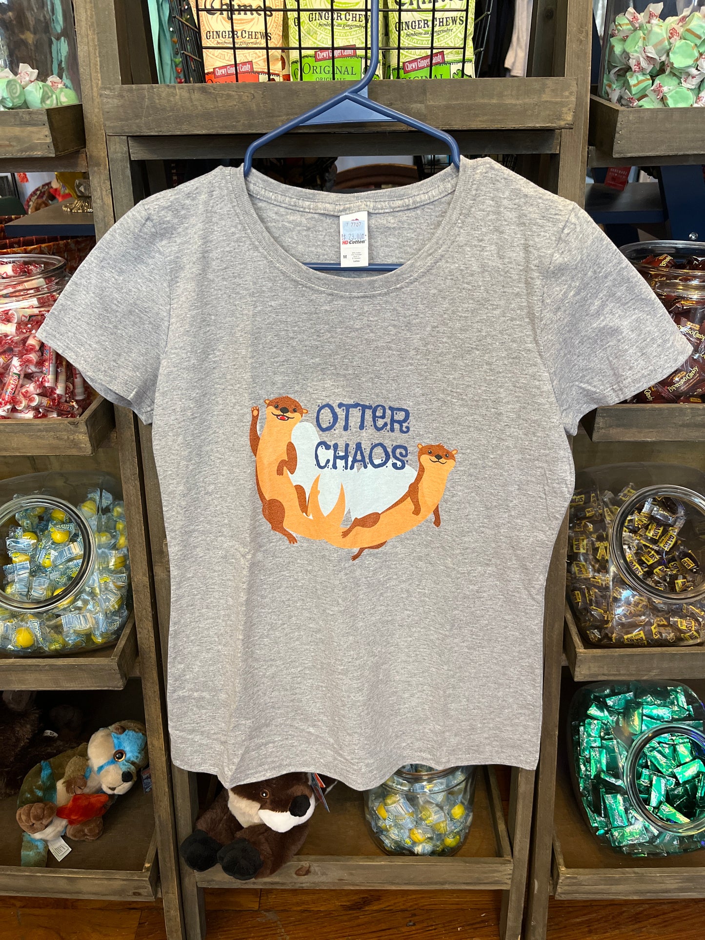 Gray OTTER CHAOS Women’s T-shirt