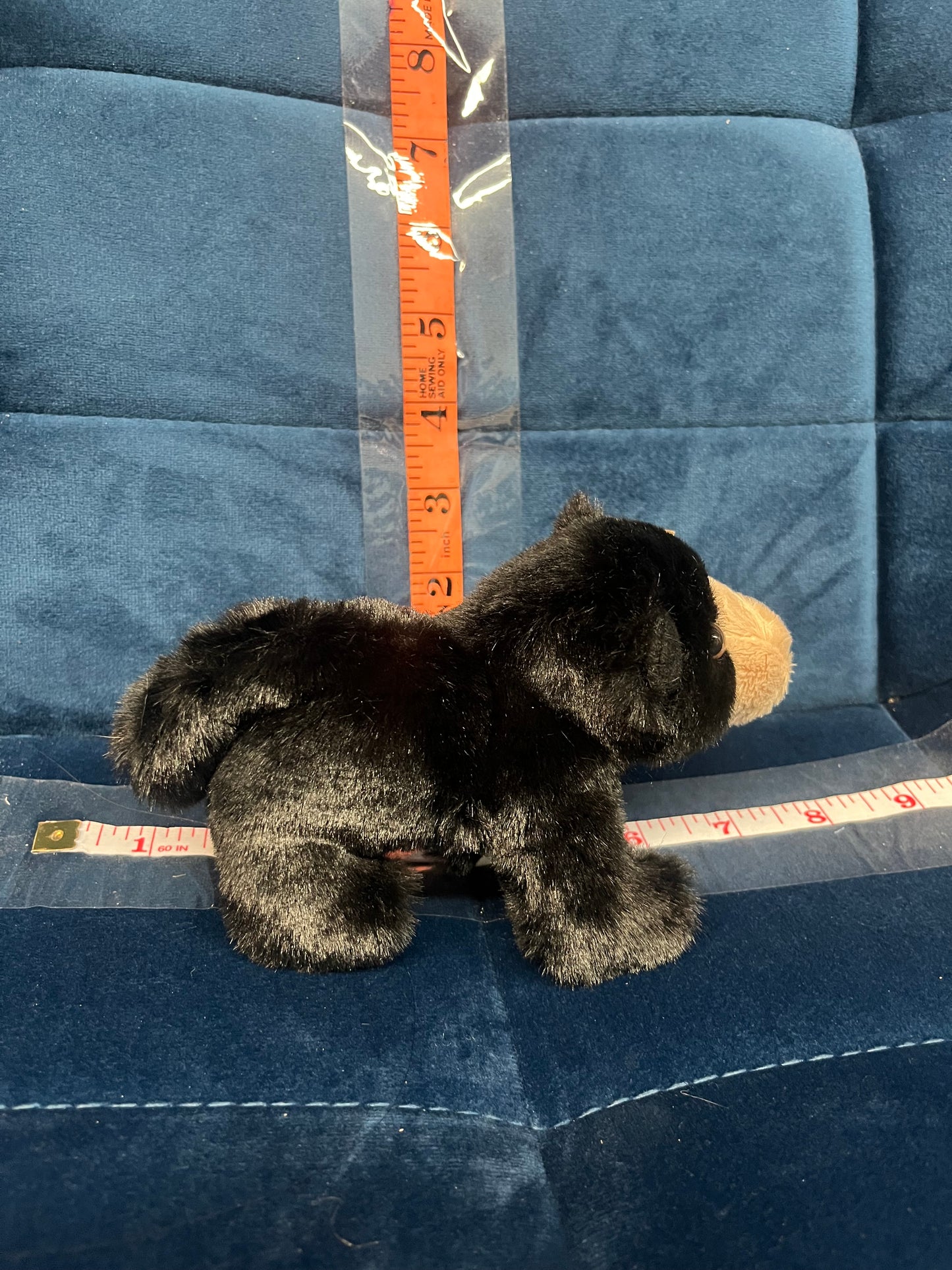 Mini Black Bear