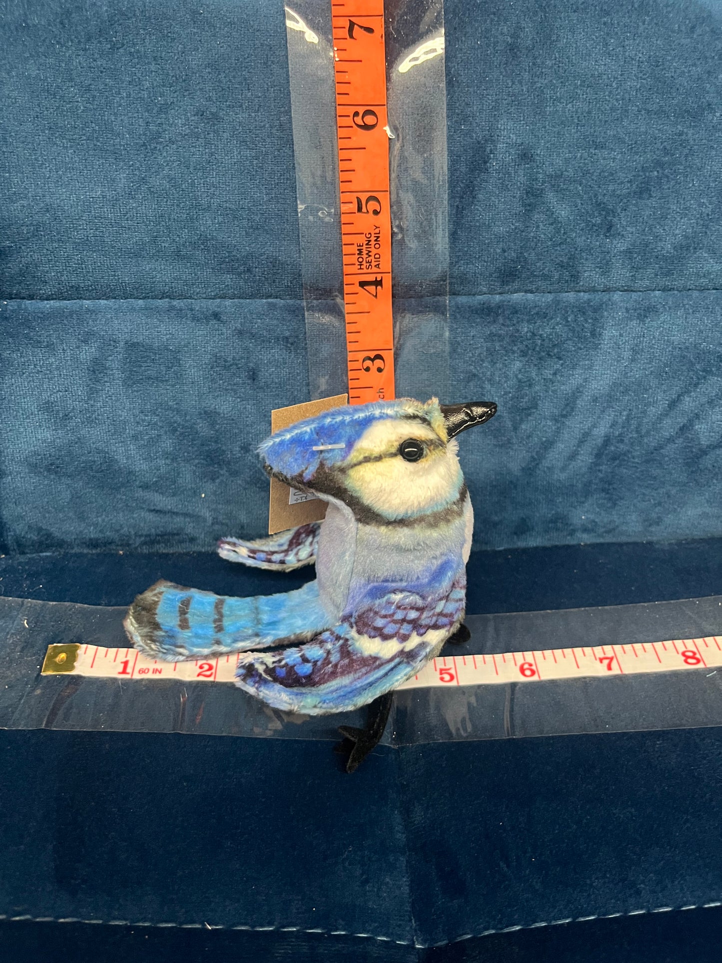 Mini Blue Jay