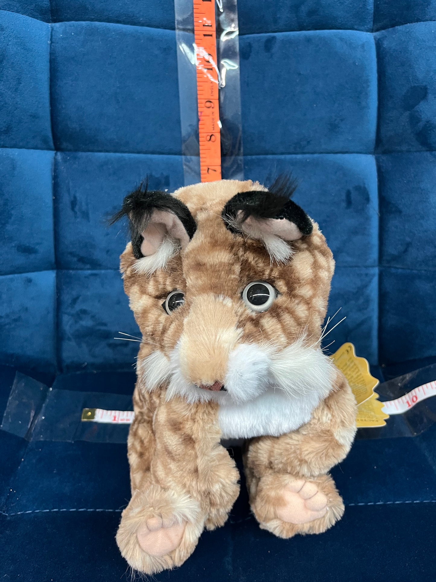 Bobcat