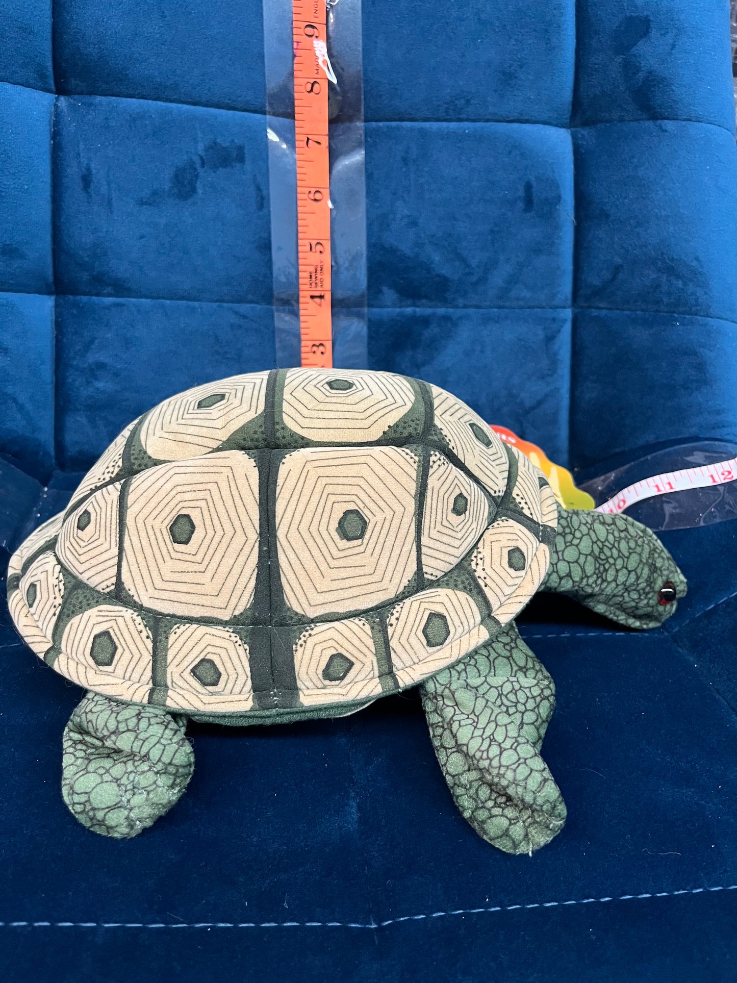 Tortoise