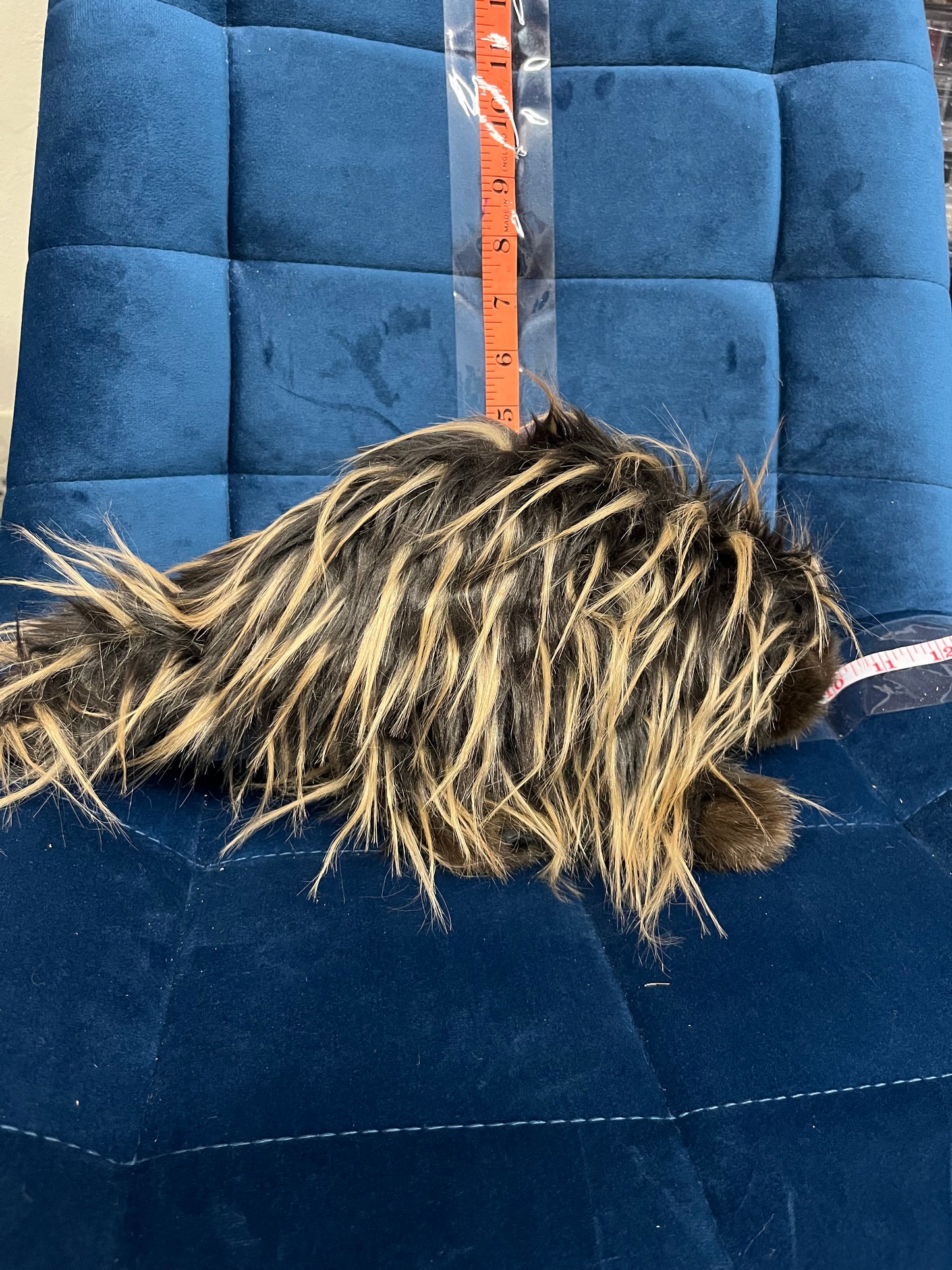Porcupine