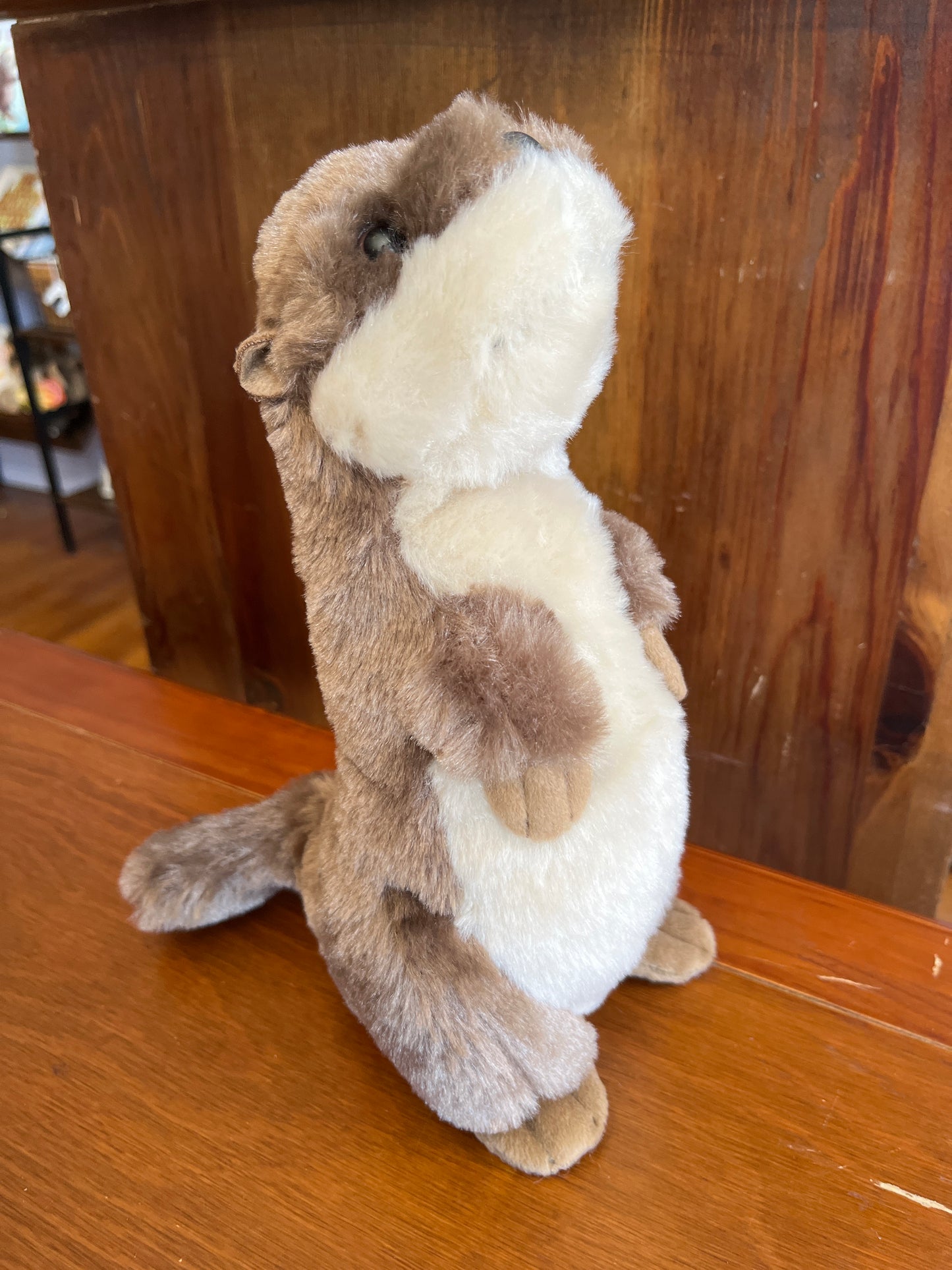 Standing River Otter