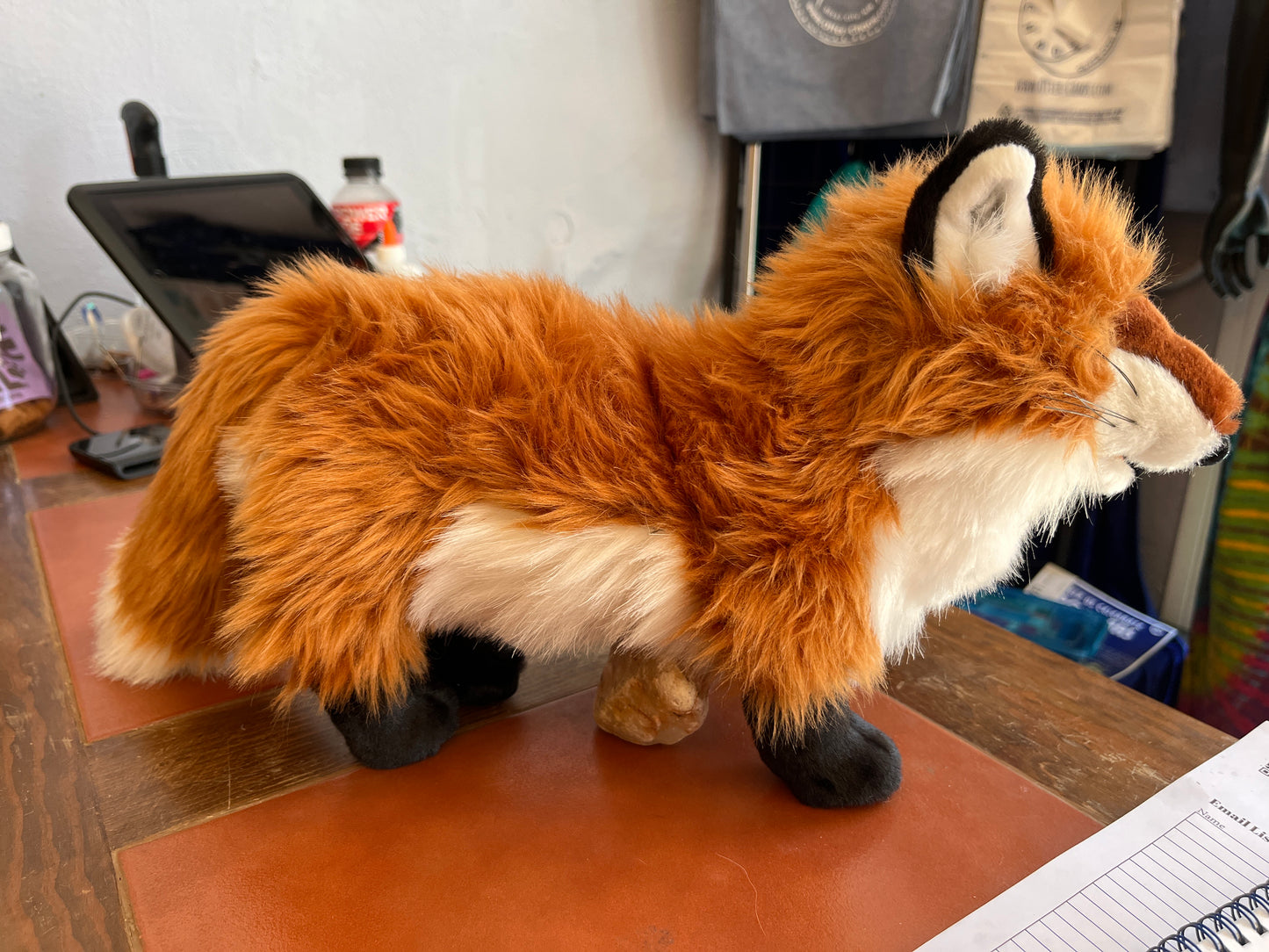 Red Fox