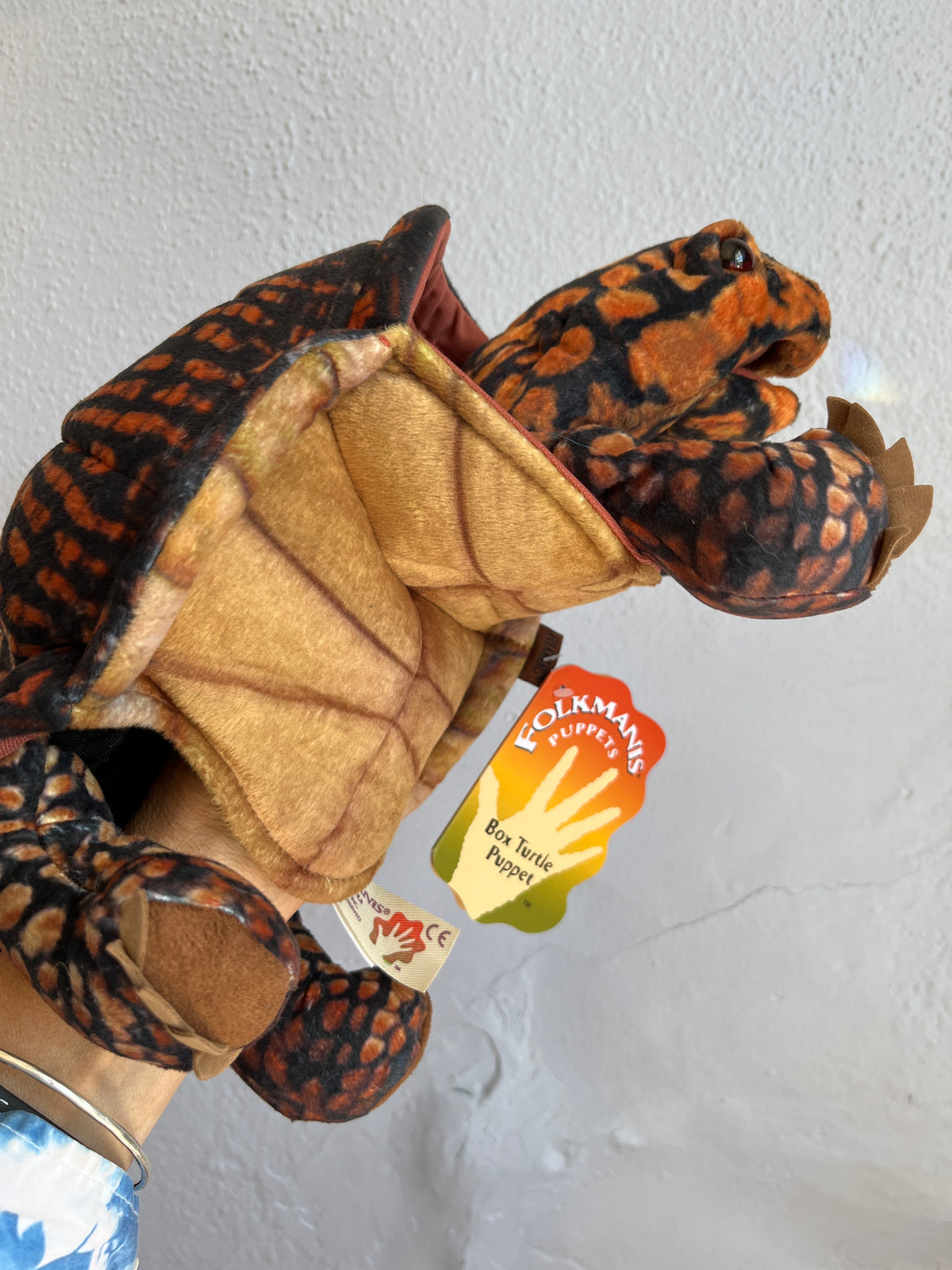 Box Turtle Puppet