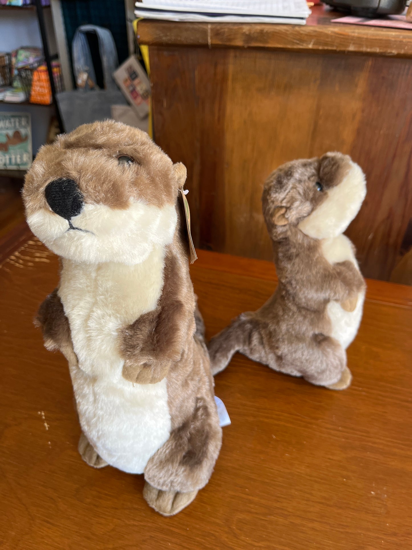 Standing River Otter