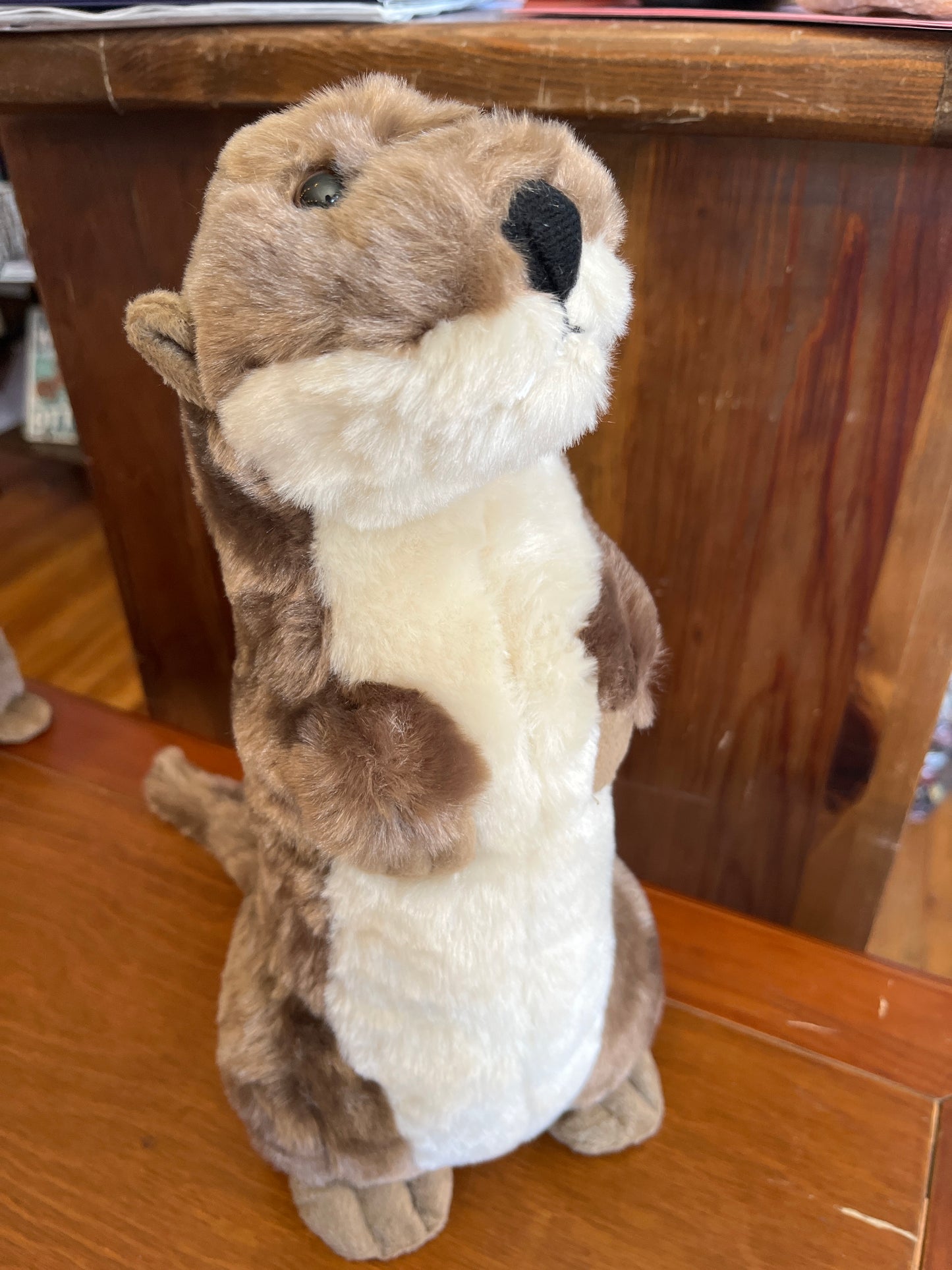 Standing River Otter