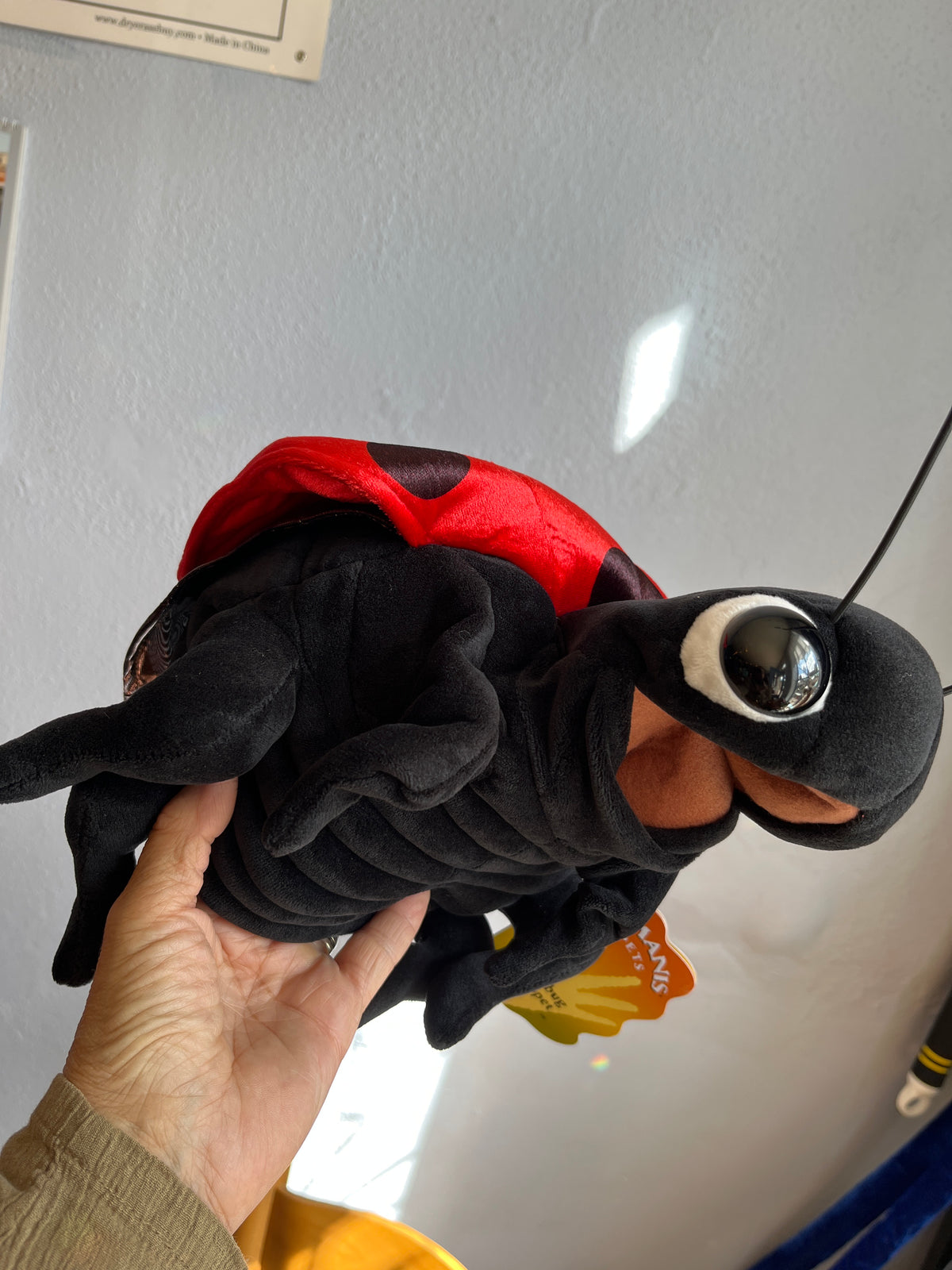 Ladybug Puppet