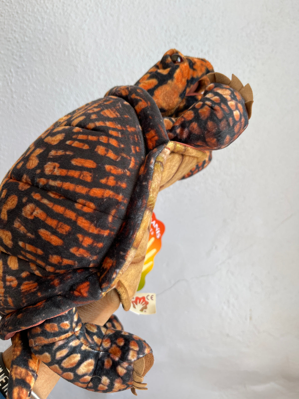 Box Turtle Puppet