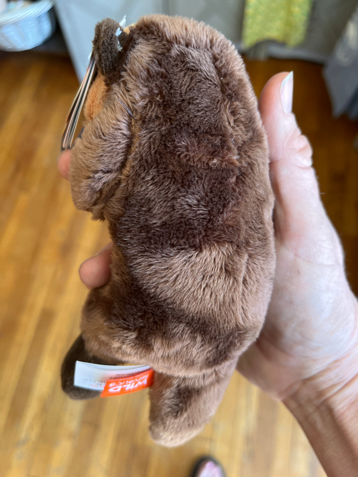 Pocketkins  Sea Otter