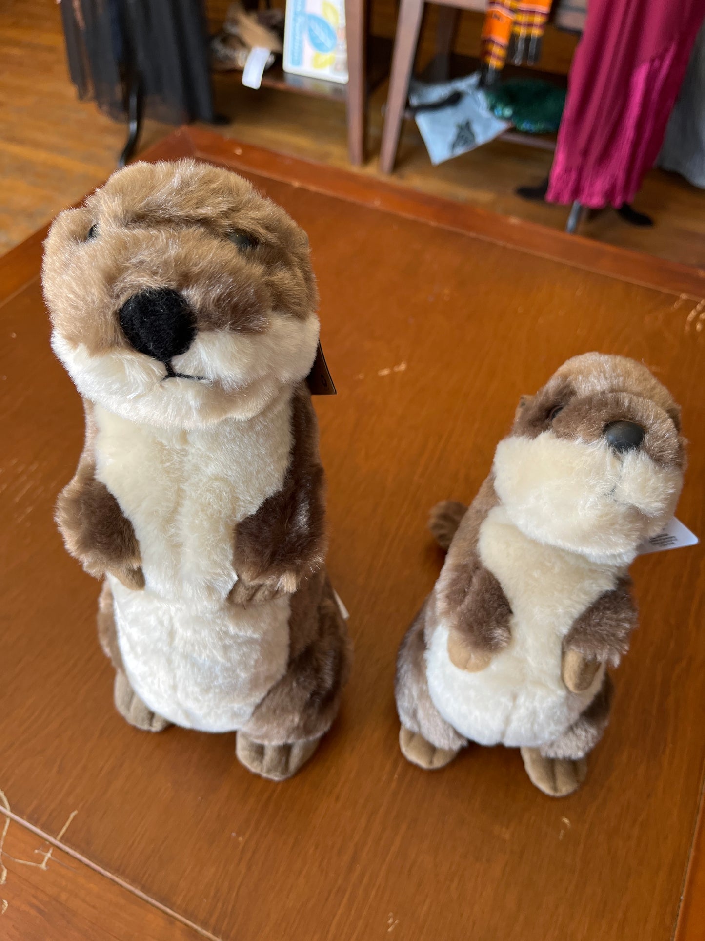 Standing River Otter