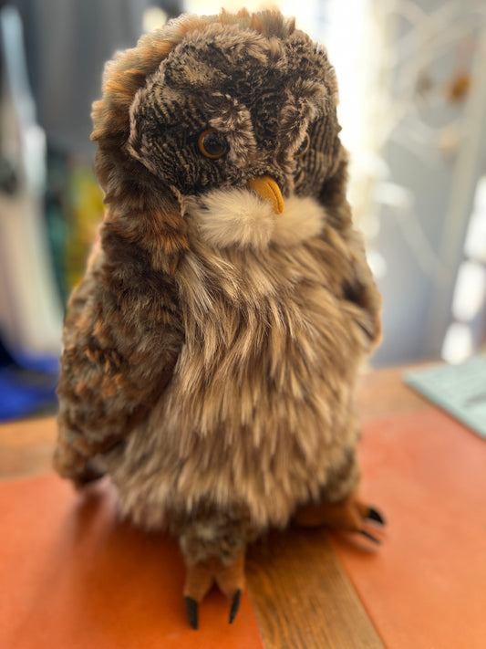Hooting owl