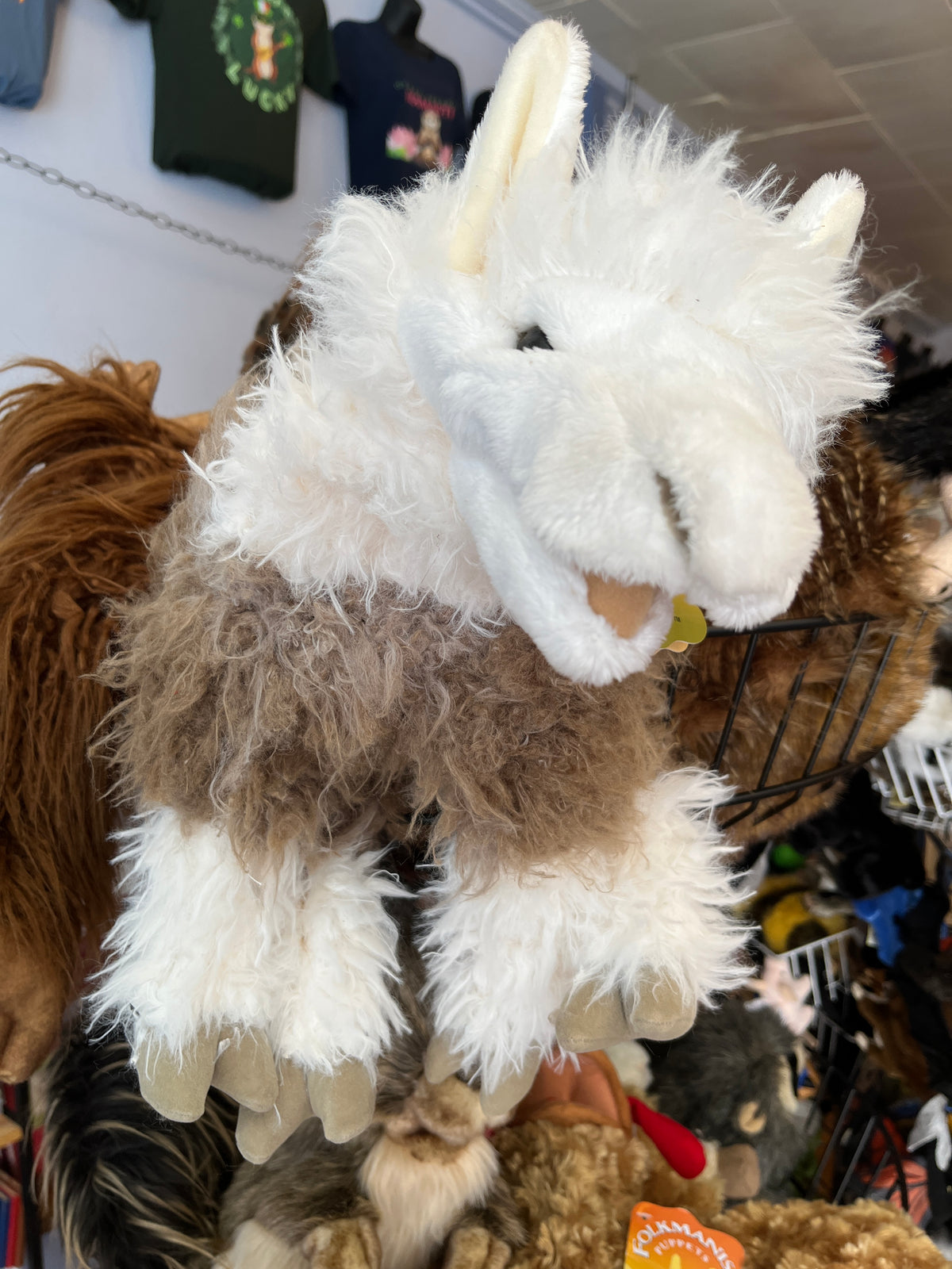 Alpaca