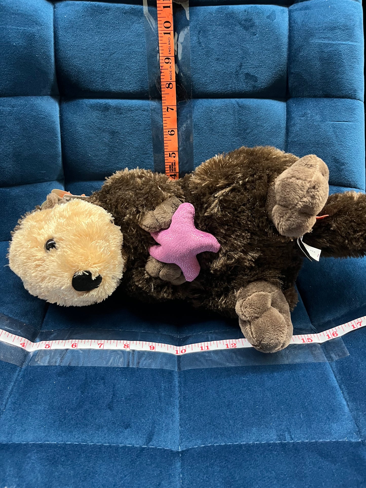 Sea Otter with Purple Star