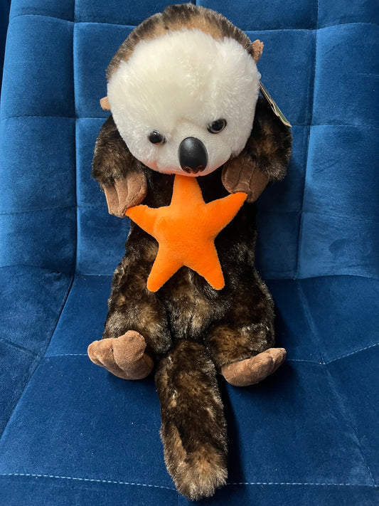 Sea Otter with Star