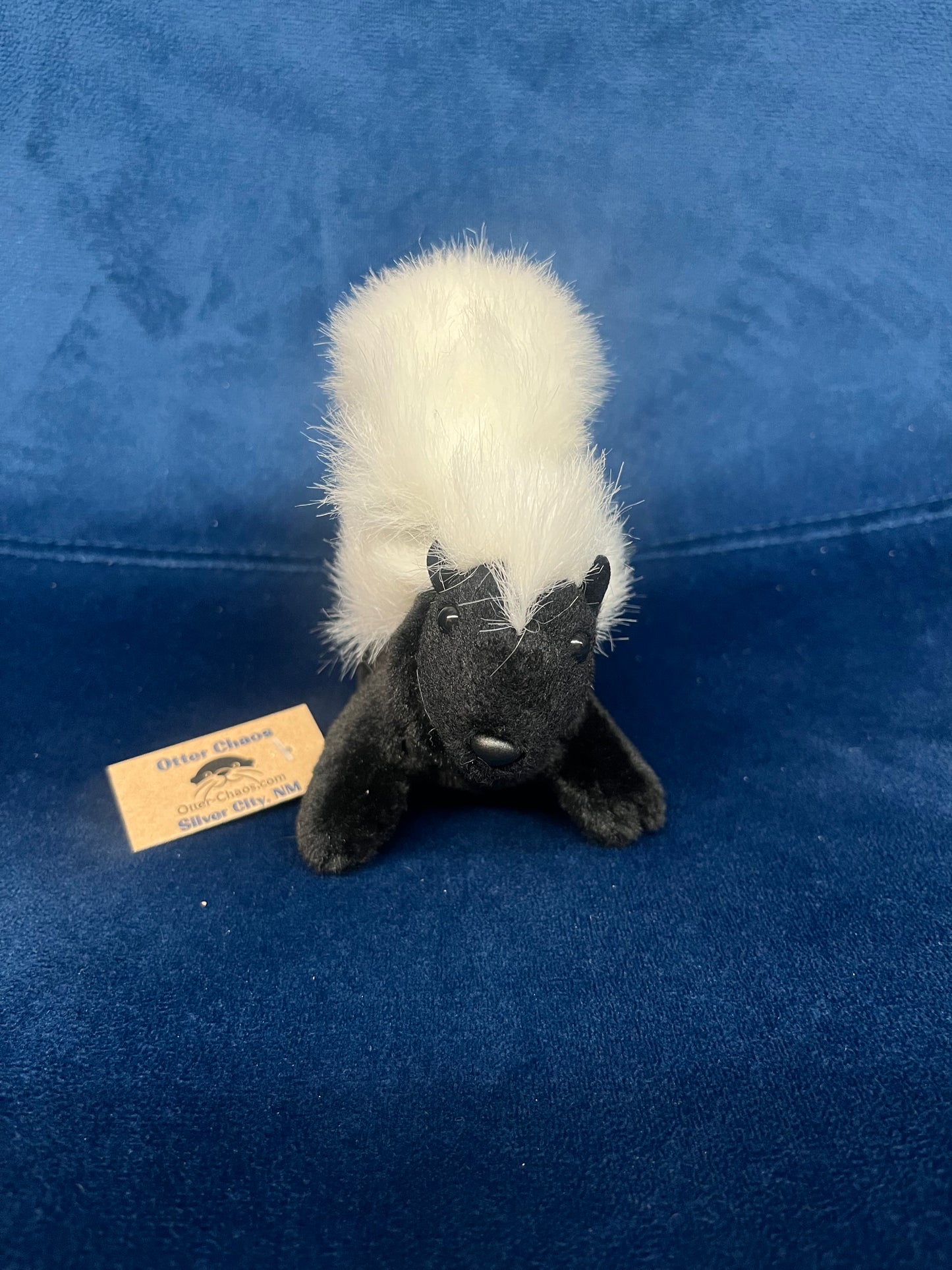 Mini Skunk