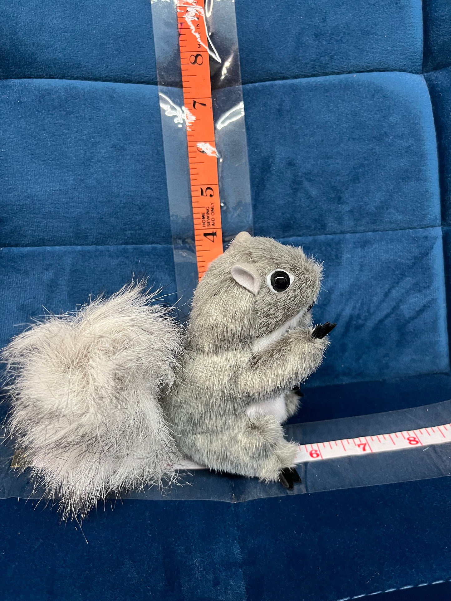 Mini Gray Squirrel