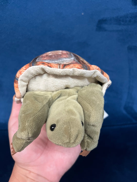 Mini Tortoise