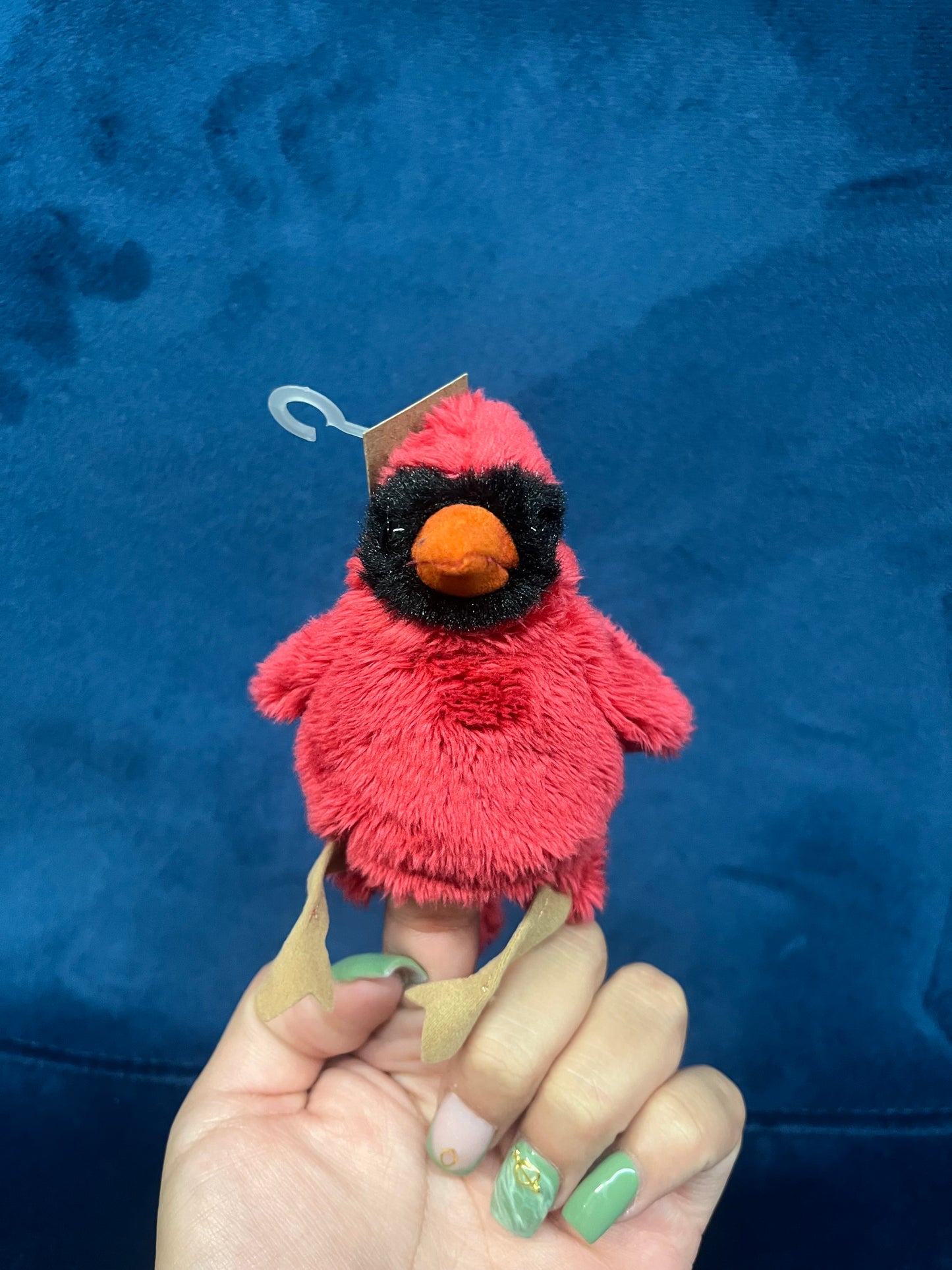 Mini Cardinal