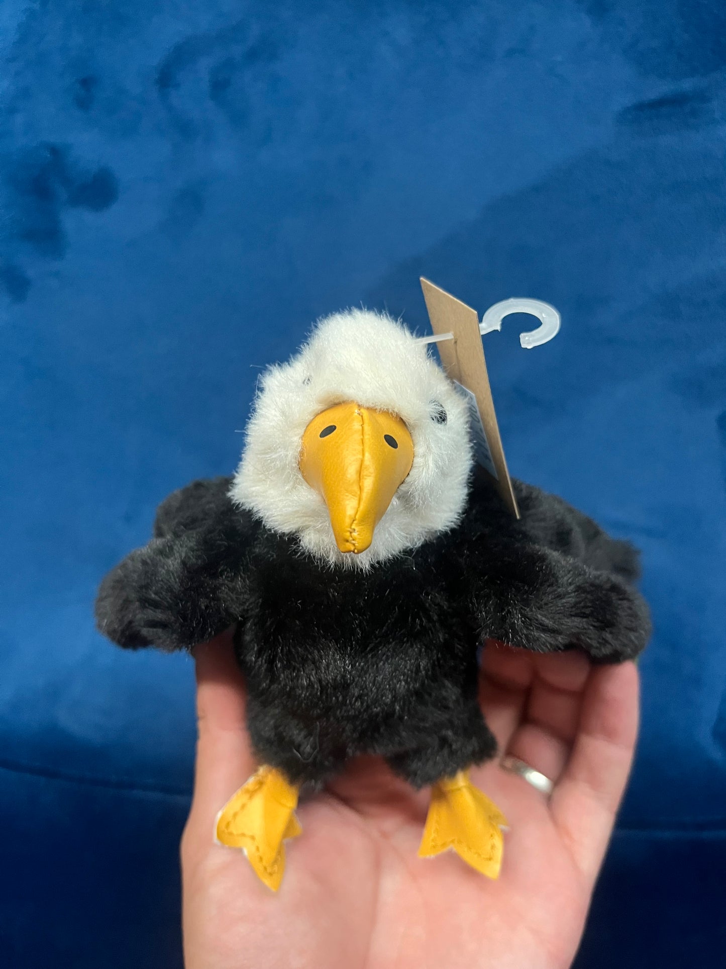 Mini Eagle