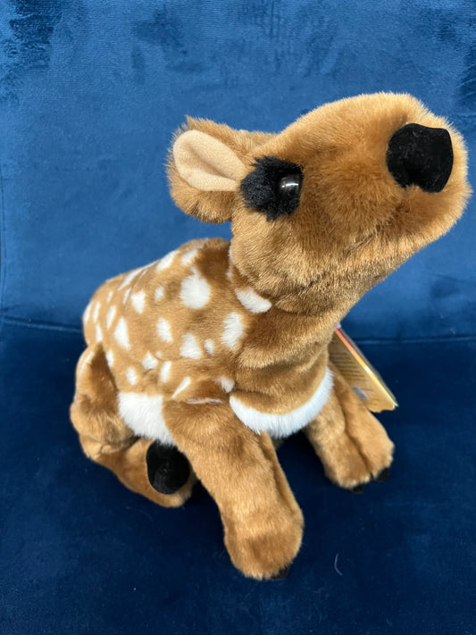 Fawn