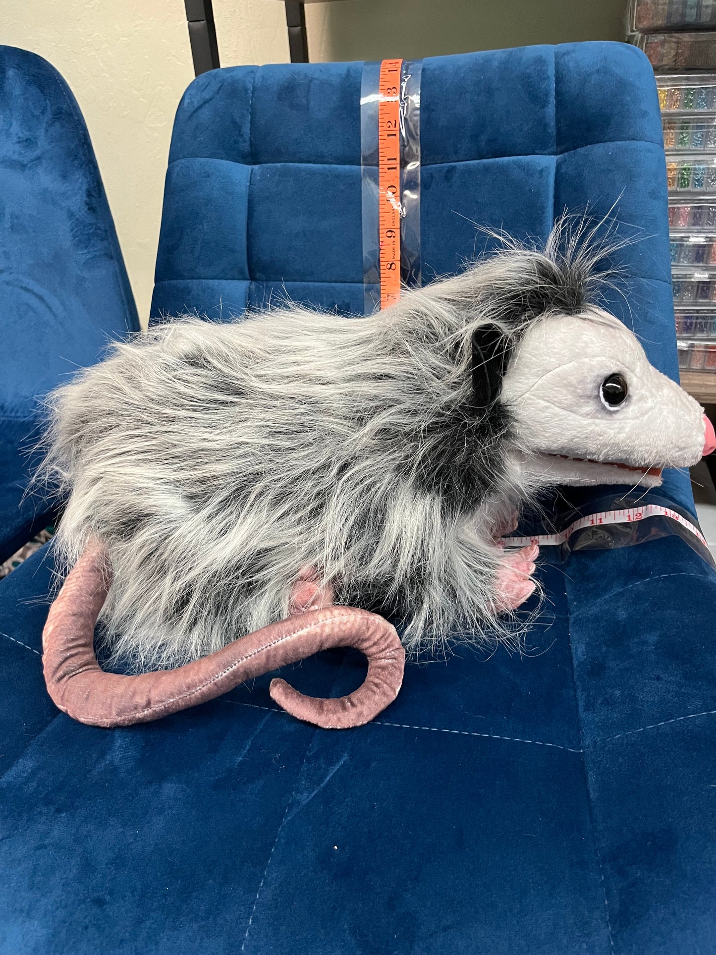 Opossum