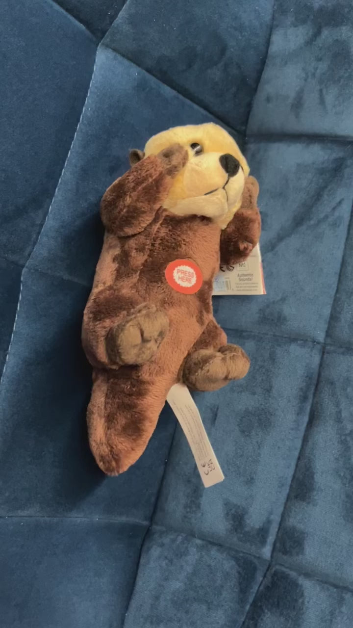 Wild Calls Sea Otter