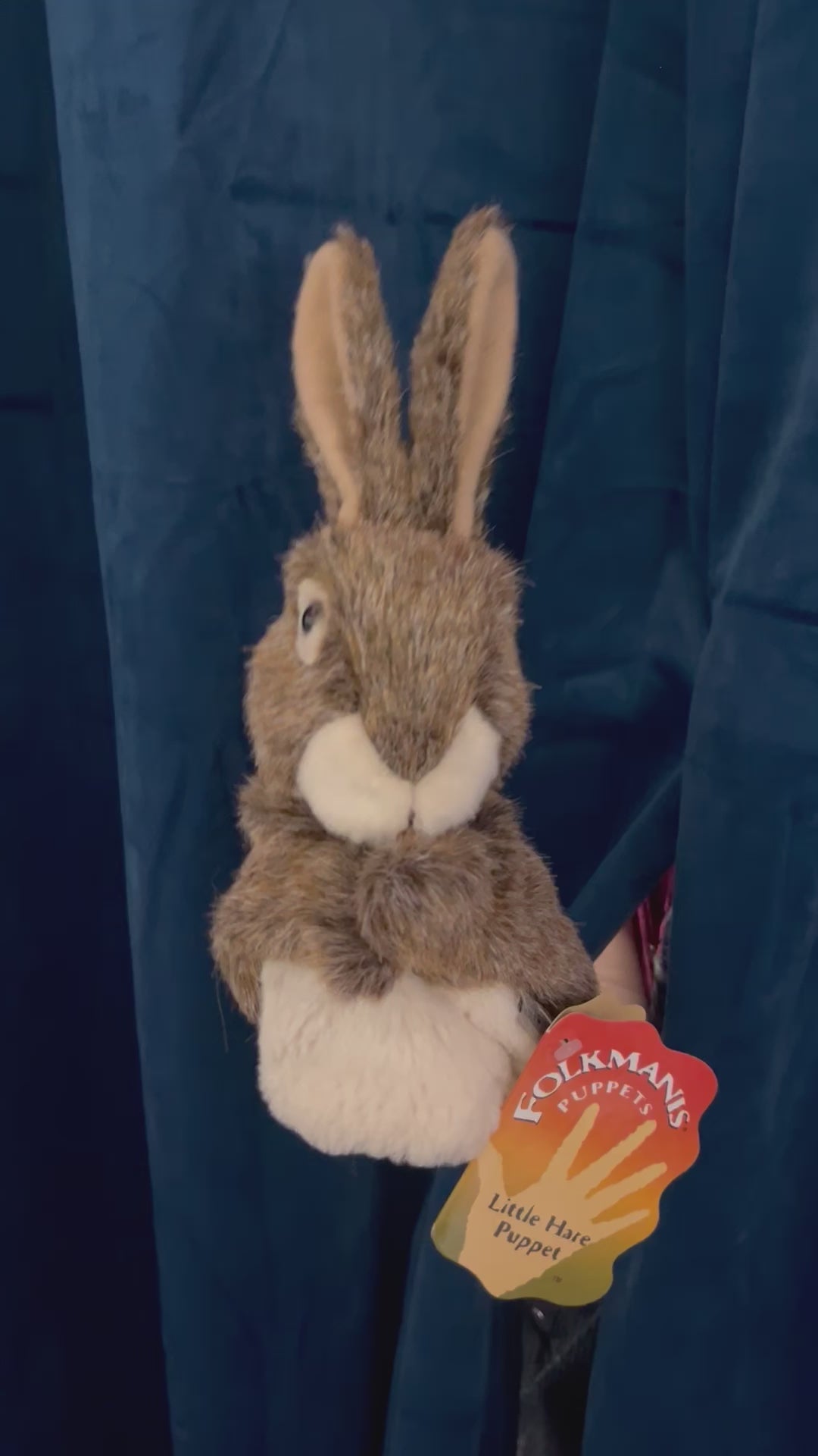 Little Hare