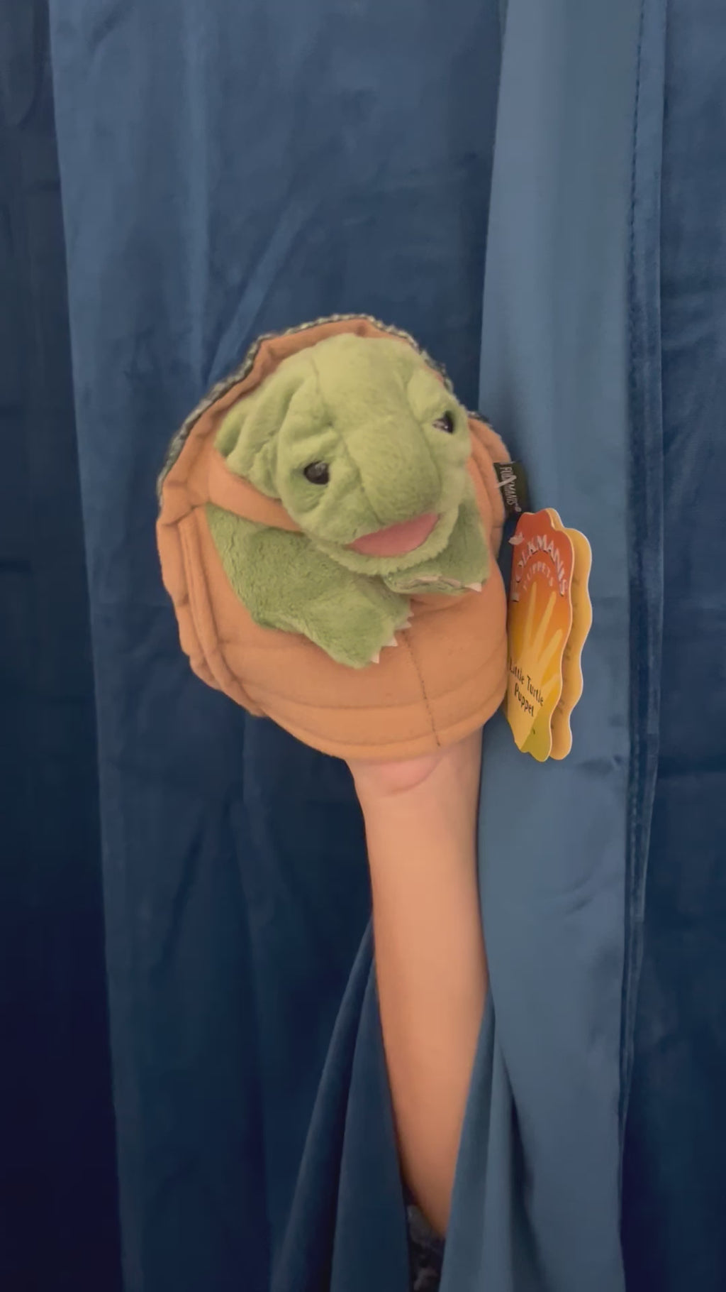 Little Turtle