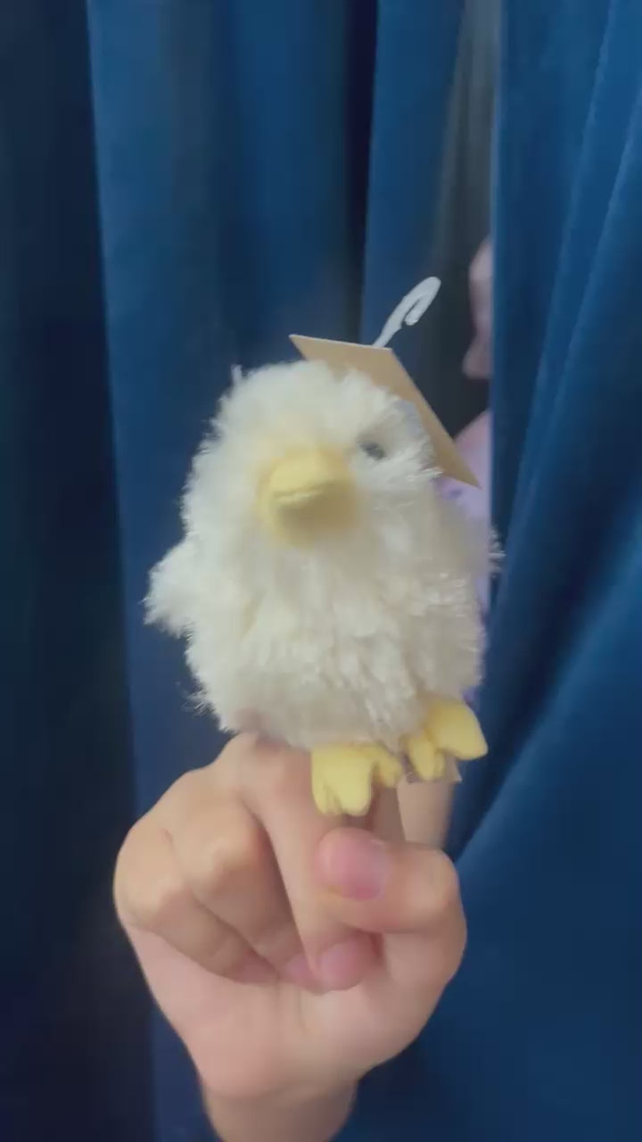 Mini Chick
