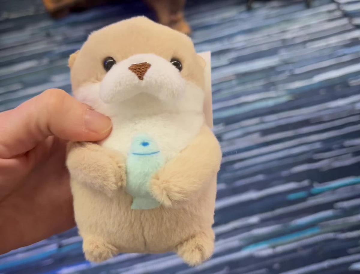 Baby Otter